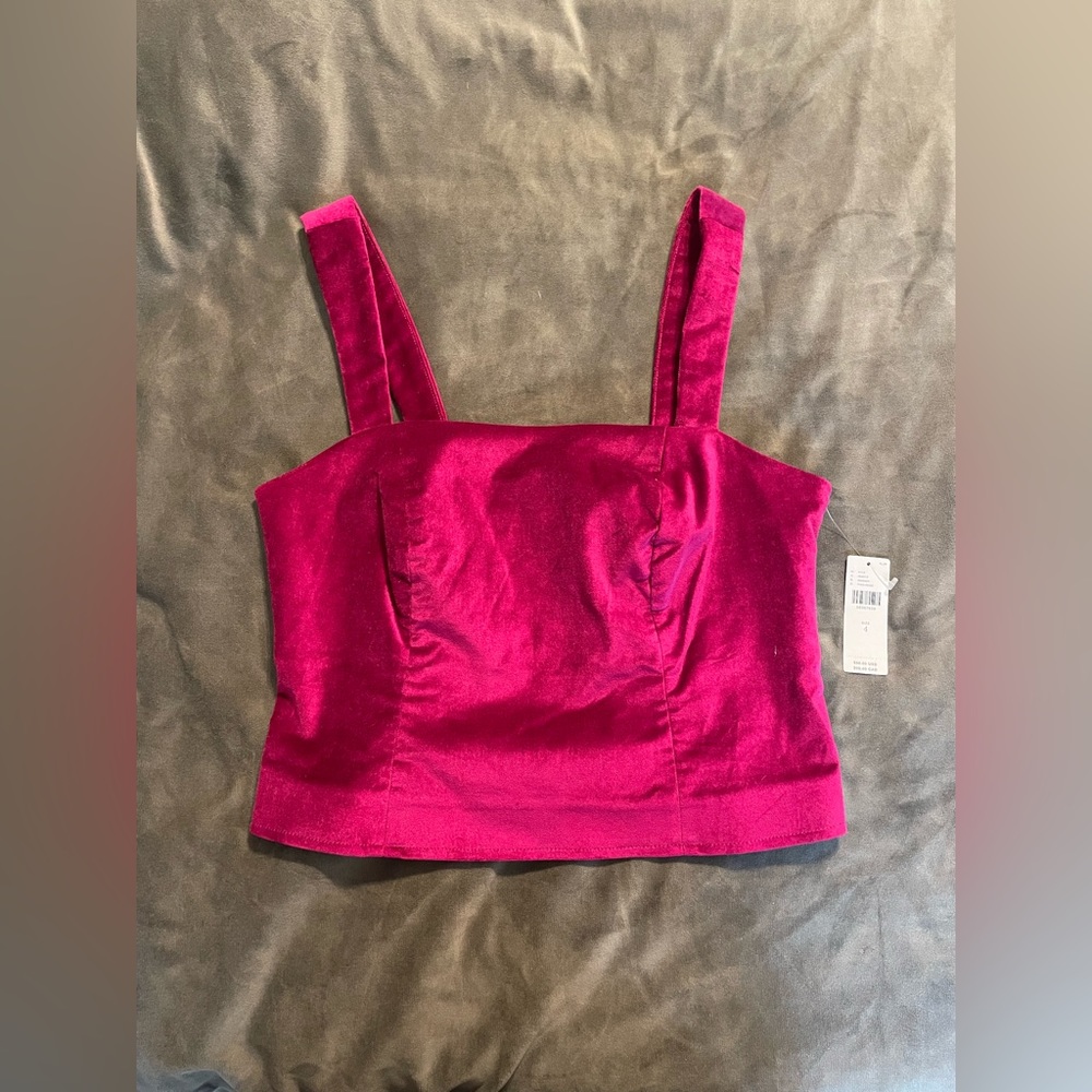 NWT Anthropology Pink Velvet Top